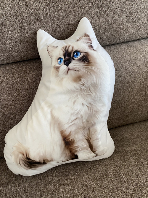 Polštář 3D - Ragdoll kočka