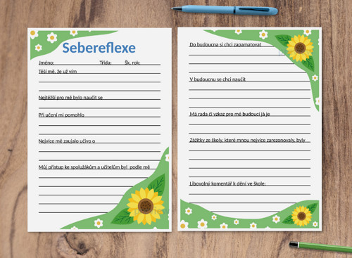 (formativní) Sebereflexe floral 3 - slunečnice