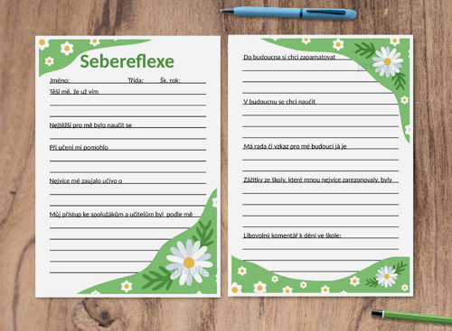 (formativní) Sebereflexe floral 3 - sedmikrásky