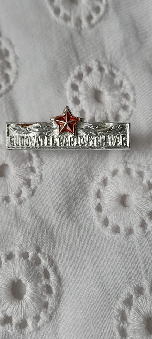 Budovatel Karlových Var — foto 1