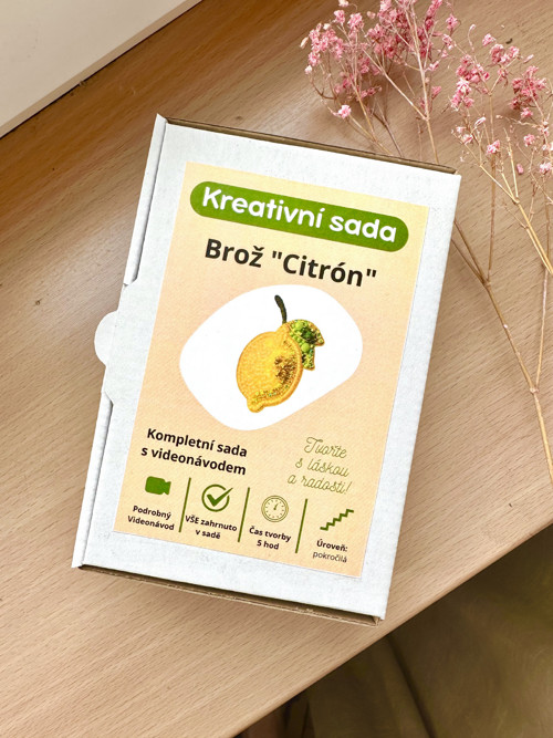 DIY sada brož citrón