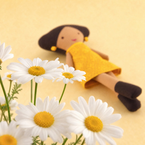 Panenka Daisy — foto 1