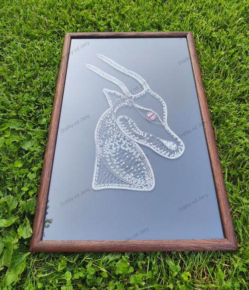 Drak naděje — foto 1