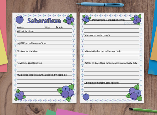 (formativní) Sebereflexe fruit - borůvky — foto 1