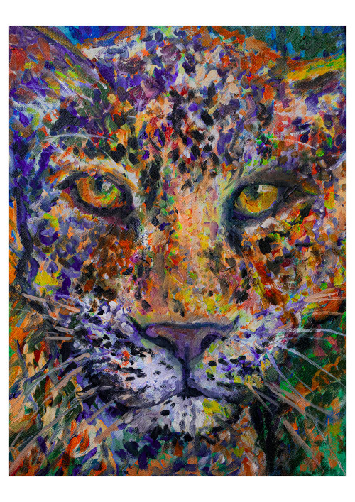 Leopard I.