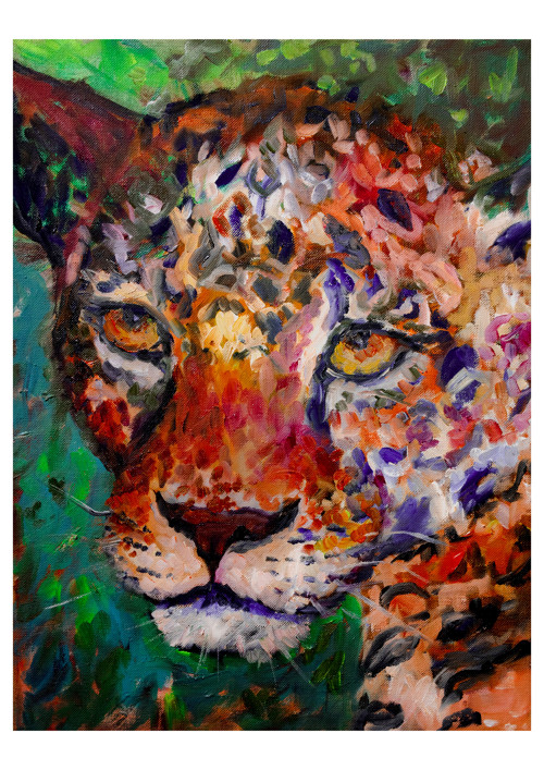 Leopard IV.