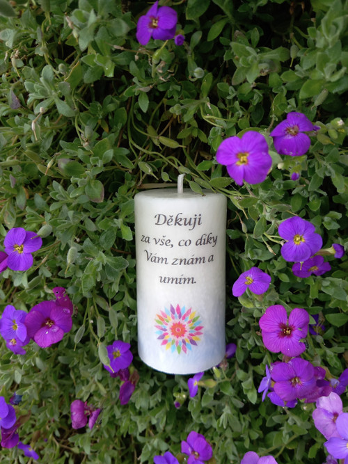 Děkuji I. — foto 1
