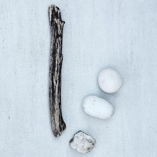 Drift Wood, plavené dřevo, černobílé, d. 29 cm
