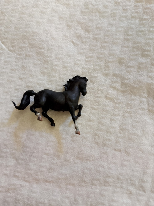 Kůň
