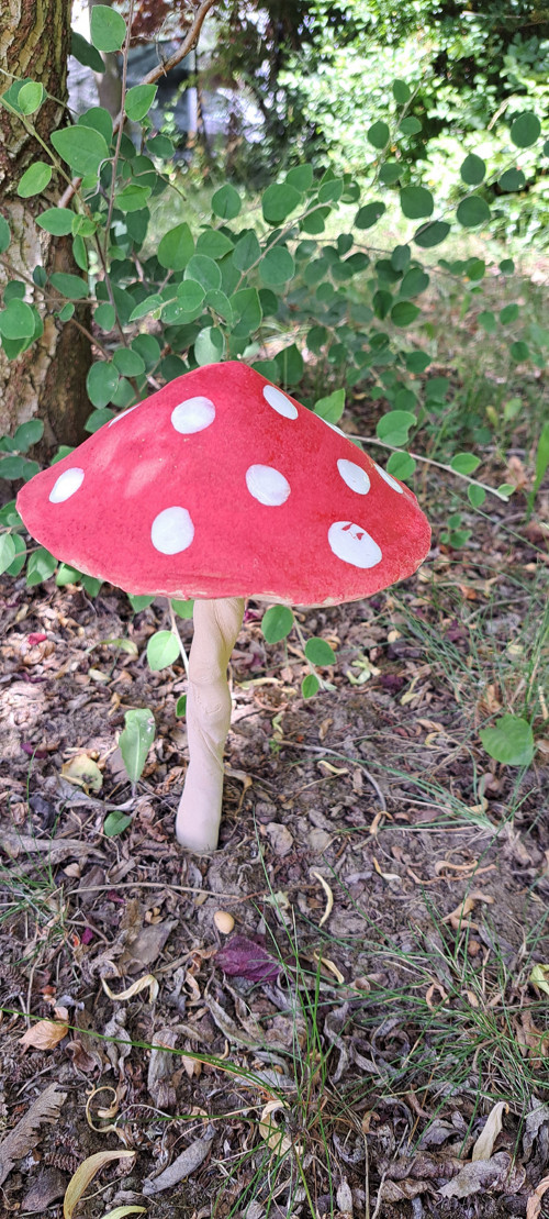 Muchomůrka veliká MEGA16cm průměr kloboučku