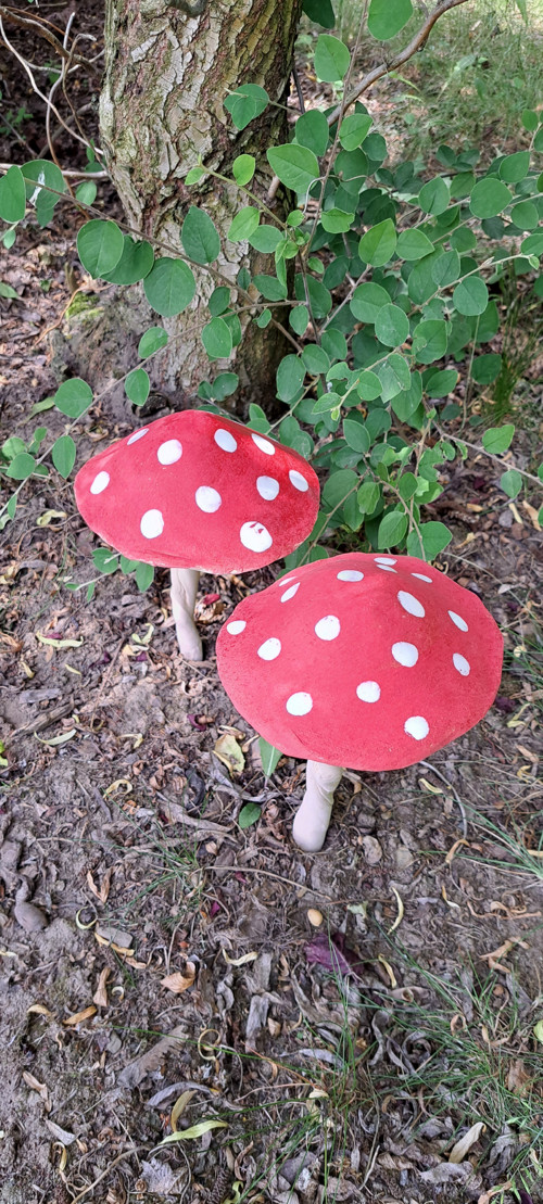 Muchomůrka 12cm průměr kloboučku — foto 1
