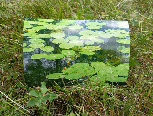Tištěná fotogragie - 10x15 bez okrajů