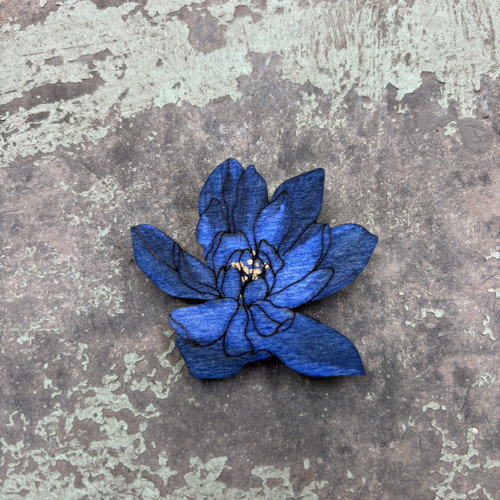 Chryzantéma — foto 1