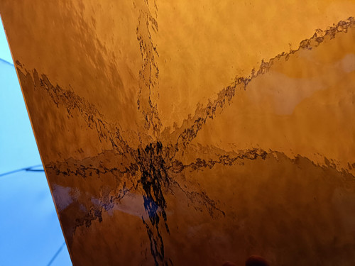 Lesní med — foto 1