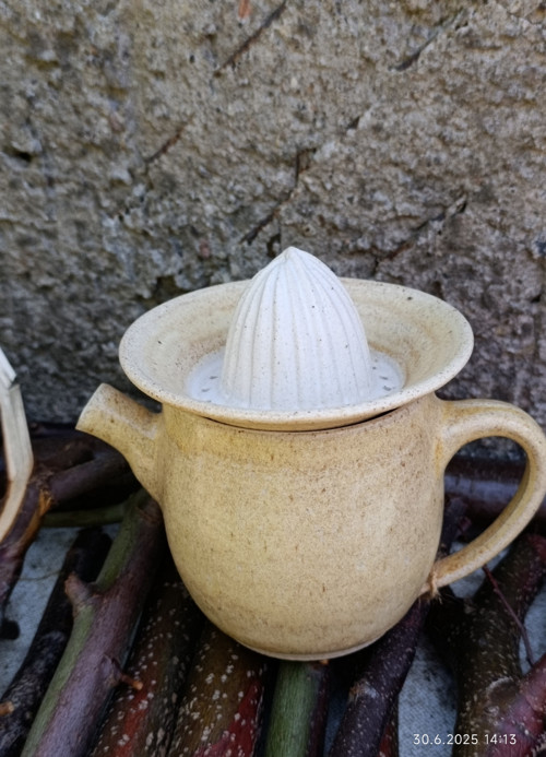 Odšťavňovač — foto 1