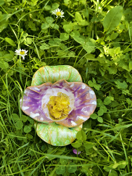 Fialovozelená Orchidej