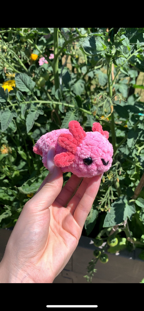 Háčkovaný axolotl