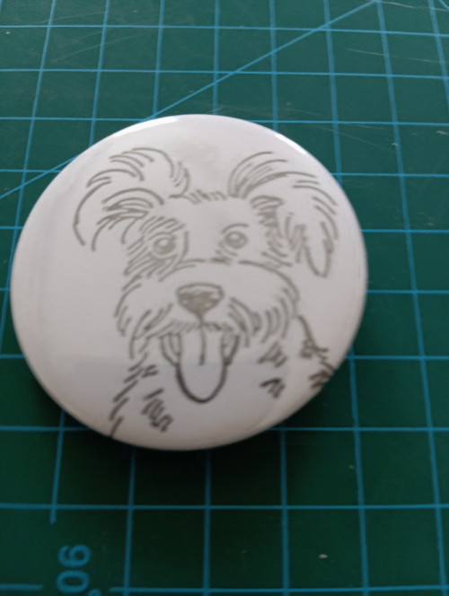 Psík