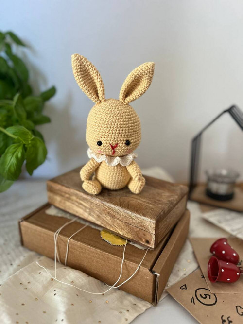 Králíček Amigurumi — foto 1