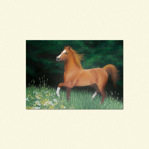 Kůň běžící v trávě - pohled