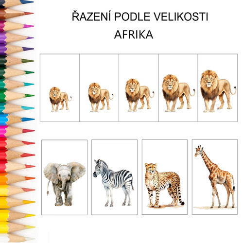 Řazení podle velikosti AFRIKA v PDF