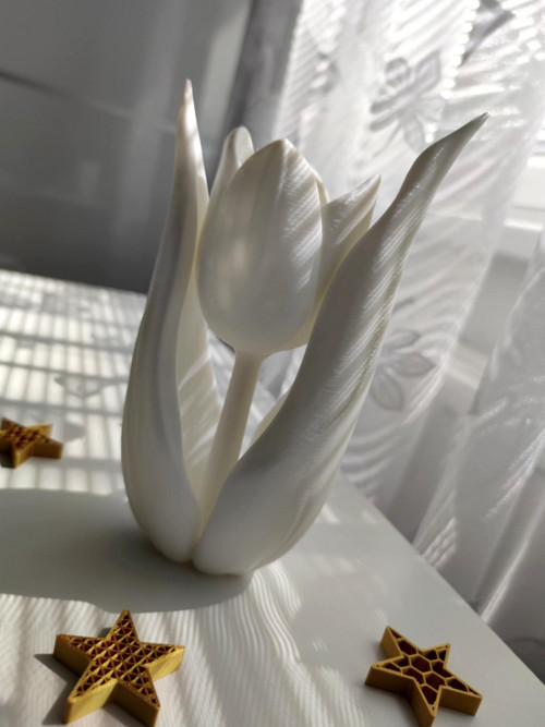 Tulipán, dekorace 20cm