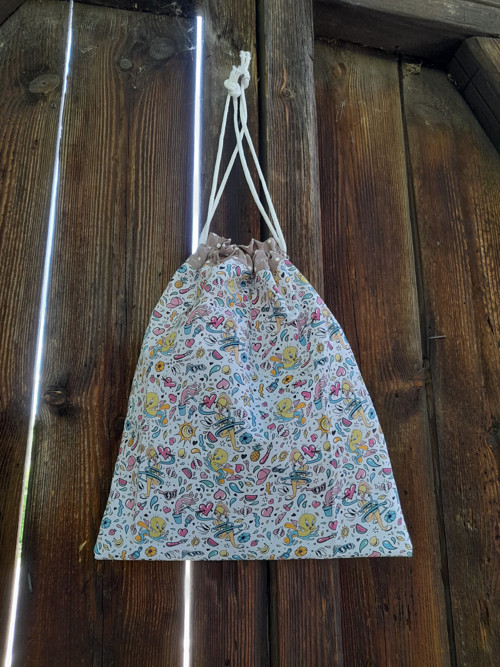 Pytlík na přezuvky-Tweety