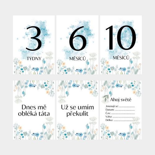 Milníkové kartičky modré květiny PDF a tisk