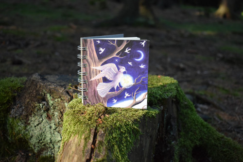 Notes střední Holubice