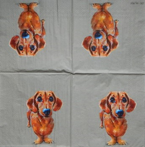 Dog Buddy 172