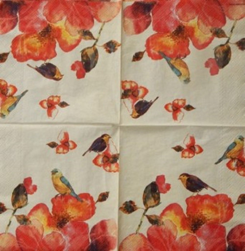 Tropical Birds 213