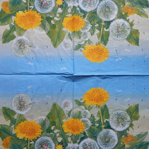 Pampelišková louka 252