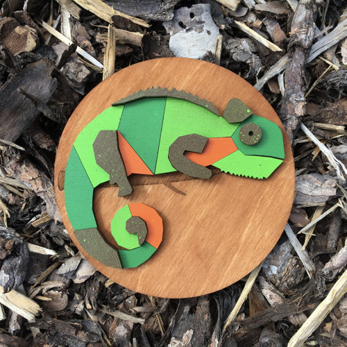 Chameleon zelený - cedr