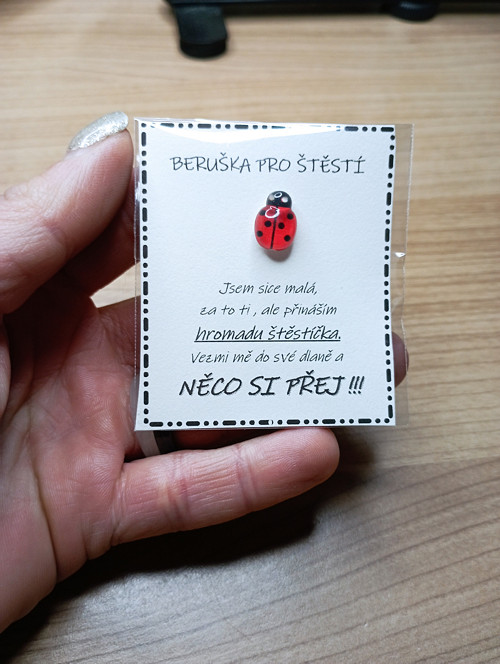 649 - Beruška pro štěstí - červená