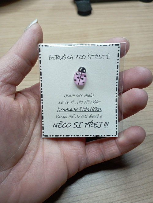 654 - Beruška pro štěstí - růžová
