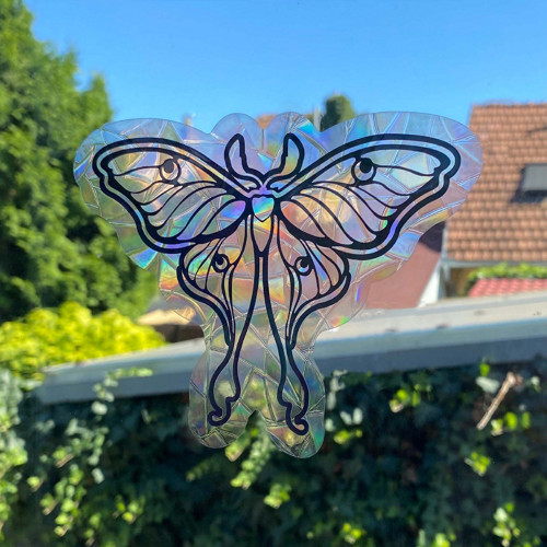 Suncatcher - můra