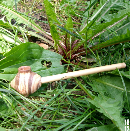 Šlukovka s troubelí
