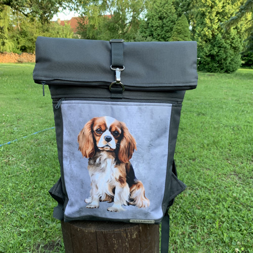 King charles spaniel - rolovací, překlápěcí batoh