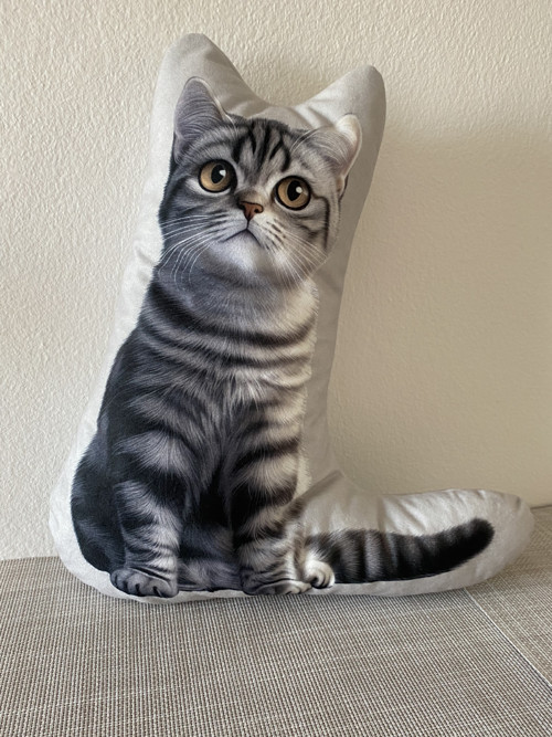 Polštář 3D - Kočka Whiskas