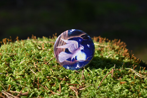 Magnet Holubice