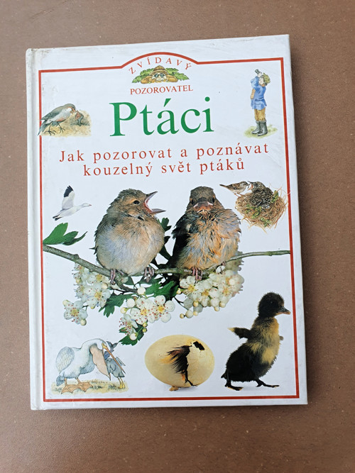 Ptzáci