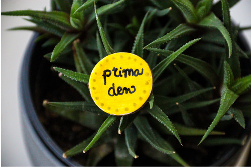 Brož "prima den" — foto 1