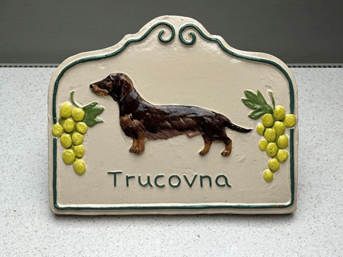 Domovní cedule Trucovna
