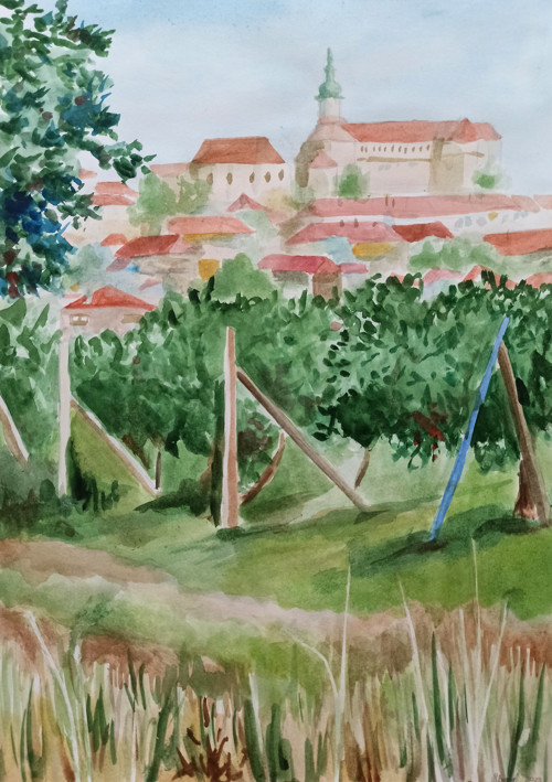 Skica zámku Mikulov
