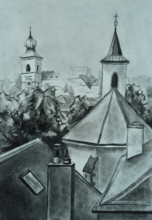 Pohled na Litomyšl