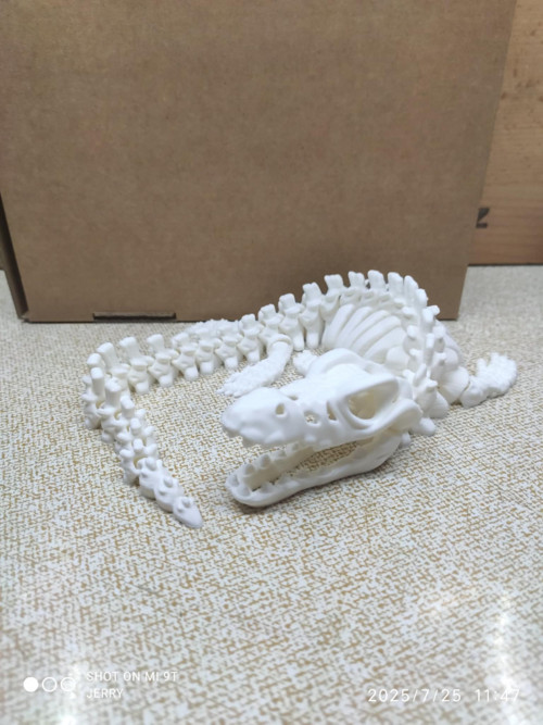 Kostra - Mosasaurus