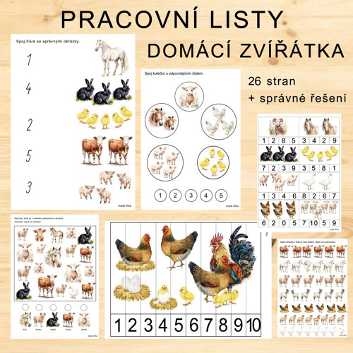 Pracovní Listy - Domácí Zvířátka v Pdf