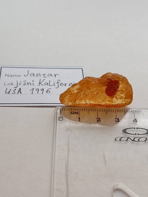 Jantar — foto 1