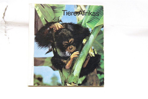 Dětská kniha Africká zvířata