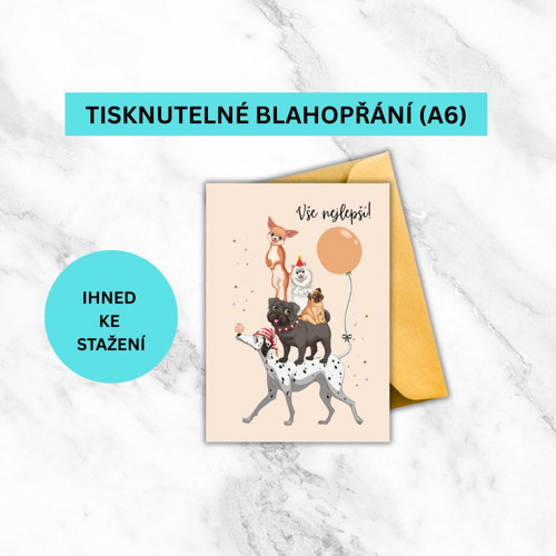 Vícebarevné Narozeninové Přání
